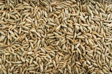 Grain transport - Combitrans OÜ