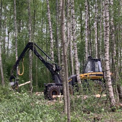 Timber harvesting - Combitrans OÜ