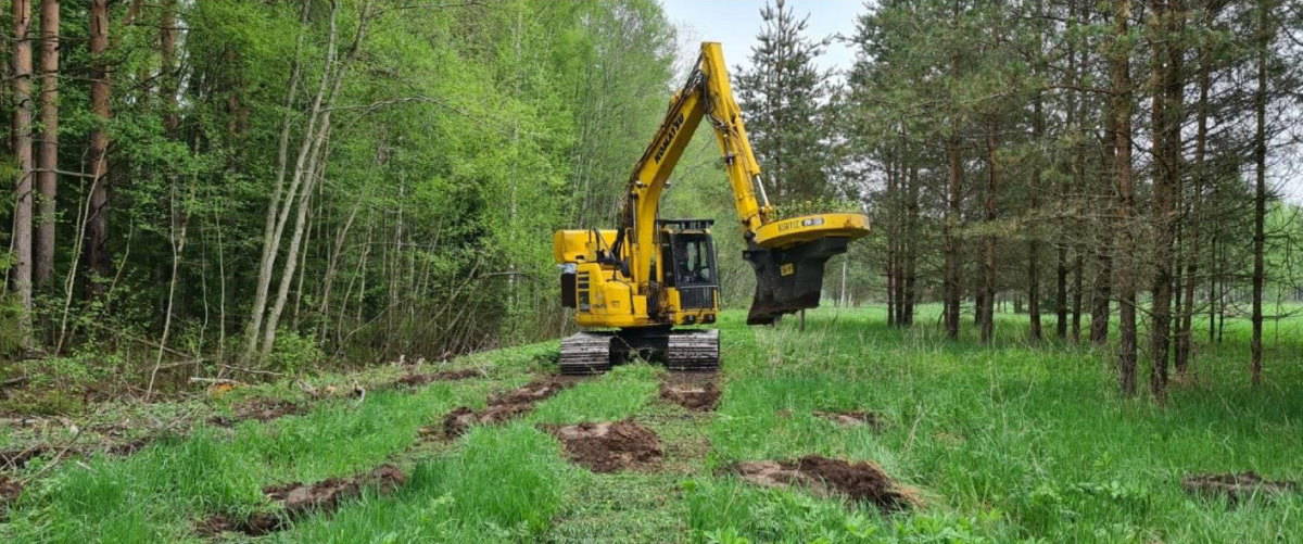 Metsa istutamine - Combitrans OÜ