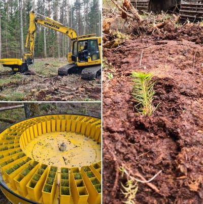 Metsän istutus_Risutec_Combitrans OÜ