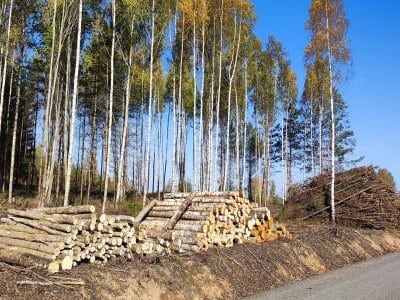 Metsän ja metsämateriaalin metsäkuljetus Combitrans OÜ