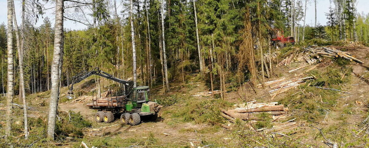 Hakkuutöiden järjestäminen - Combitrans OÜ