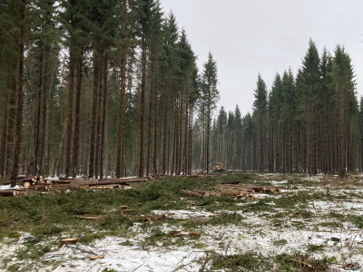 Mežizstrādes pakalpojumi – Combitrans OÜ